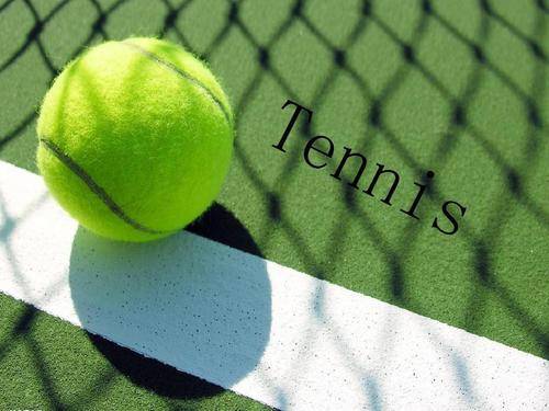 在比赛中的 在比赛中的