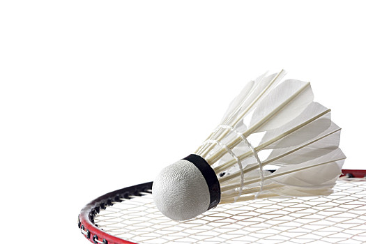 合舞种特点 合舞种特点