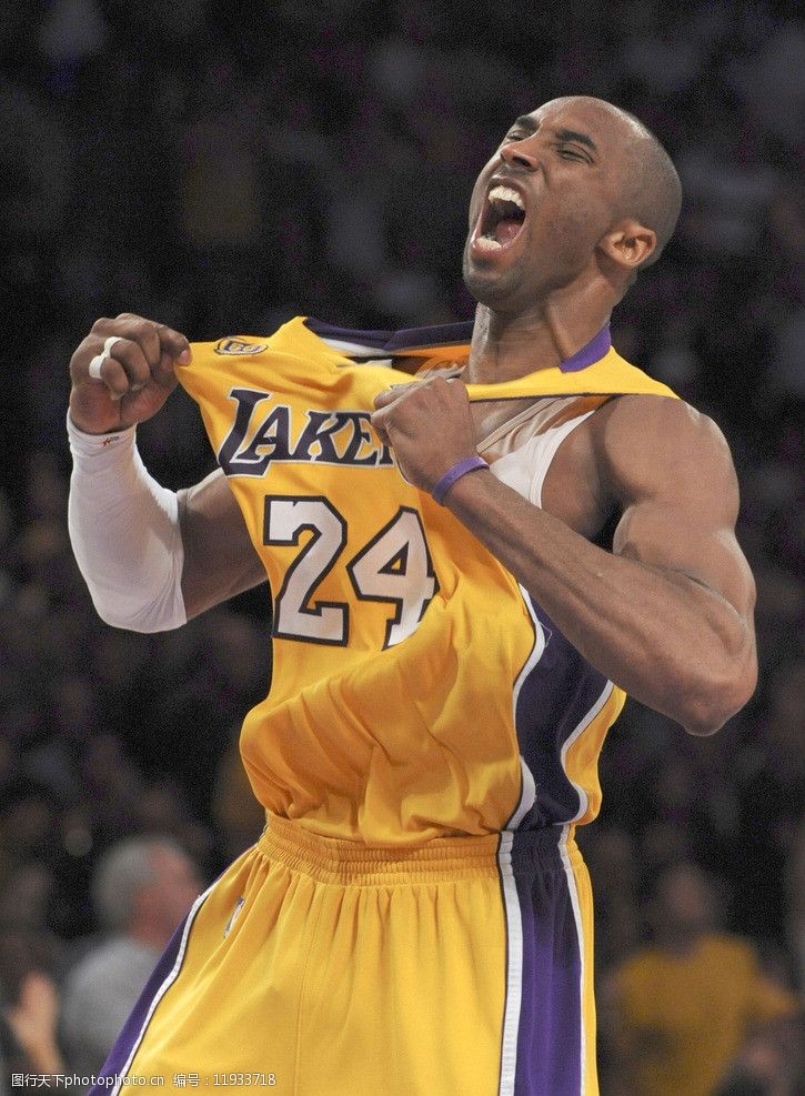 手野区空间 手野区空间